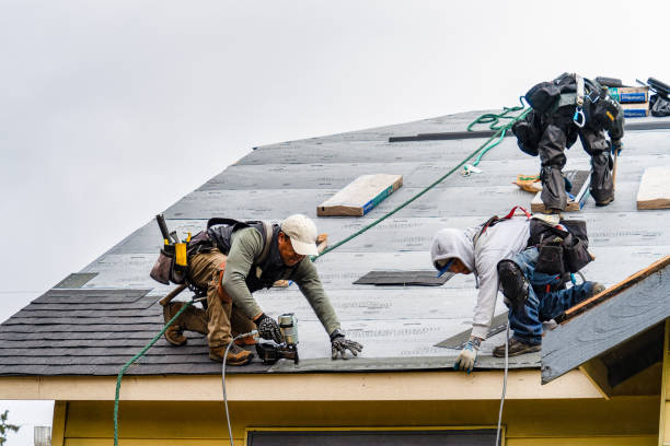 Professional Flat Roof Repair technician working in Orangefield, TX
